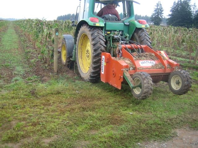 KCS60, Vineyard